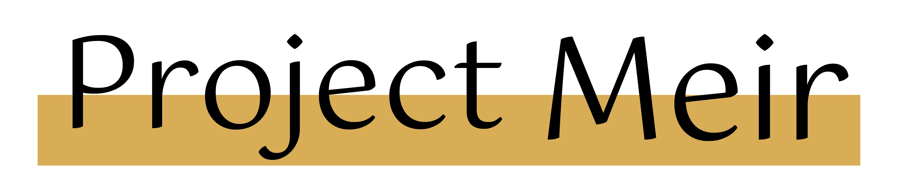 ProjectMeir logo WEB 4